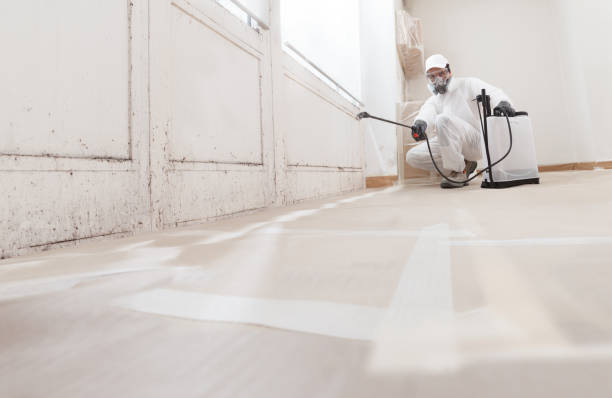 24/7 Emergency Commercial Mold Remediation experts in Port Reading, NJ